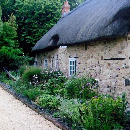 Afton Thatch: Beautiful Thatched Family Cottage Freshwater Bagian luar foto